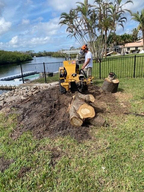 Stump And Tree Removal