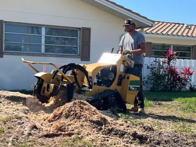 Stump And Tree Removal