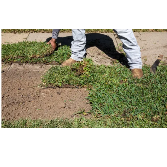 Landscaping and Sod Installation