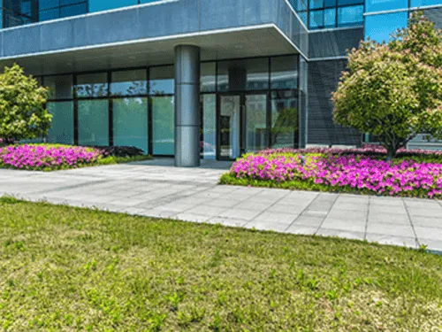 {{ custom_values.service_1 }} in {{custom_values.biz_area_1})