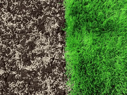 Ross Township Overseeding