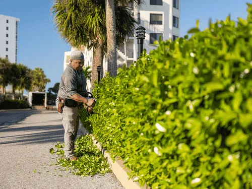 Ross Township Property Maintenance