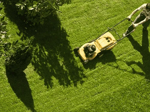  Commercial Property Services