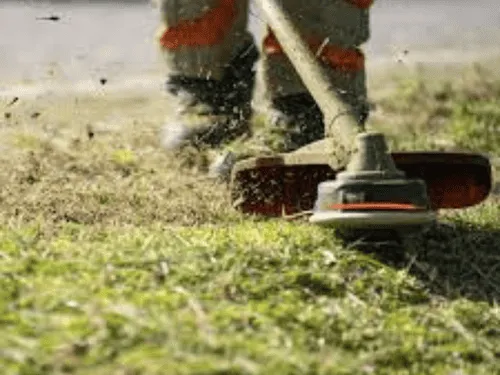 Grass Cutting in Pittsburgh