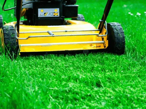 Overseeding Pittsburgh