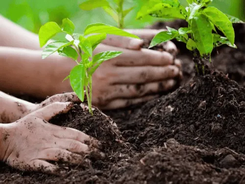 Commercial Property Services