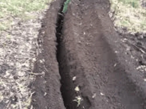 Commercial Property Services