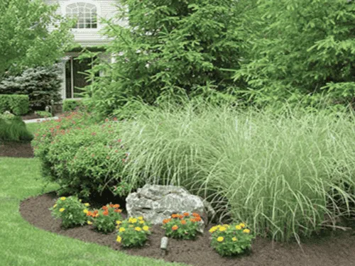 Residential Property Services in Pittsburgh