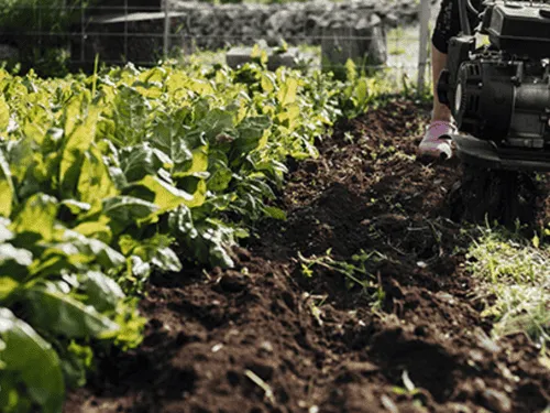 Ross Township Mulching