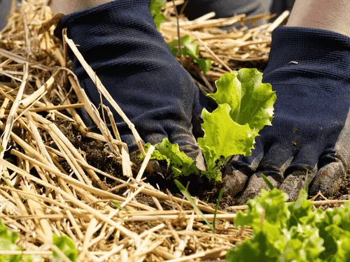 Property Maintenance Pittsburgh