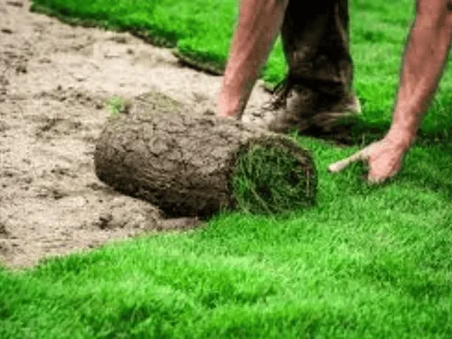 Commercial Property Services