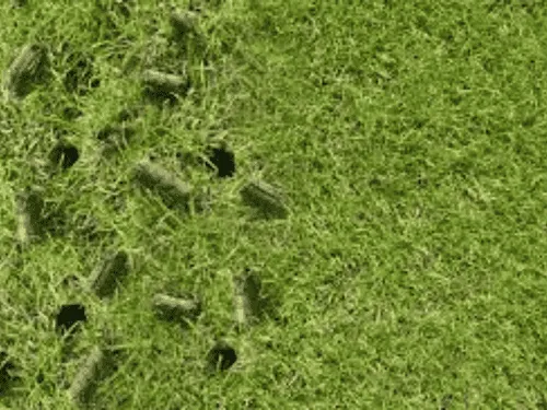 Residential Property Services in Pittsburgh