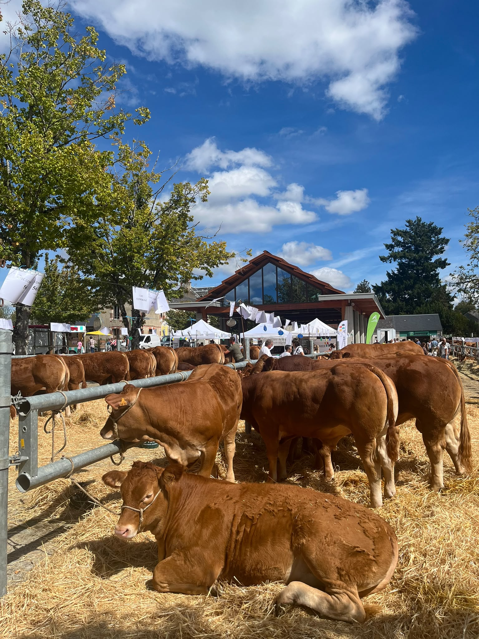 Septembre à Dun-le-Palestel : un mois vibrant aux portes de DUNØ Suites