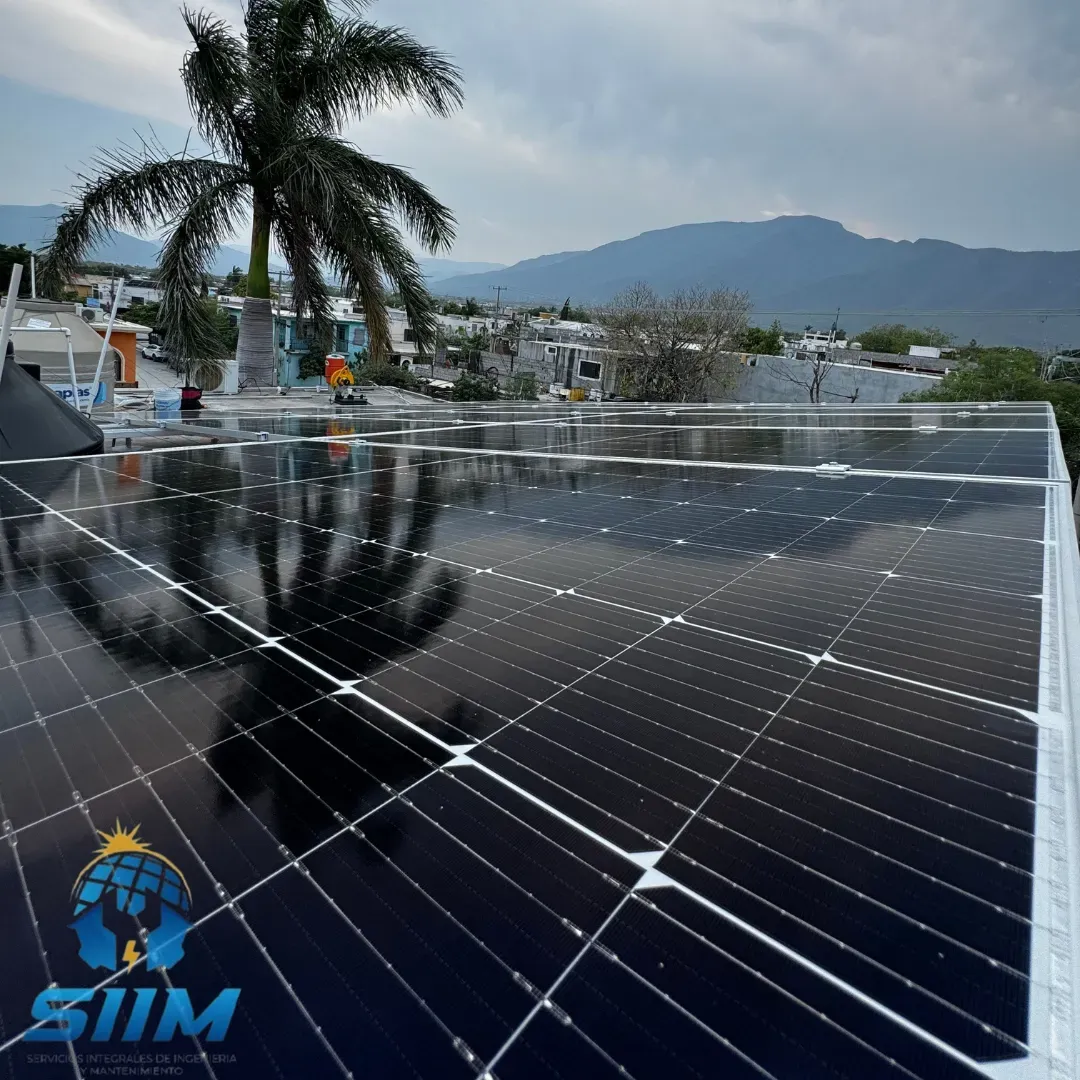 Placas solares instaladas por Siim con un palmera de fondo en tamaulipas