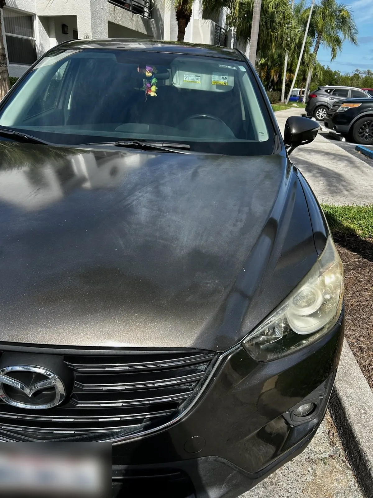 Grey Mazda SUV before, with a dusty dull hood and hazy headlights