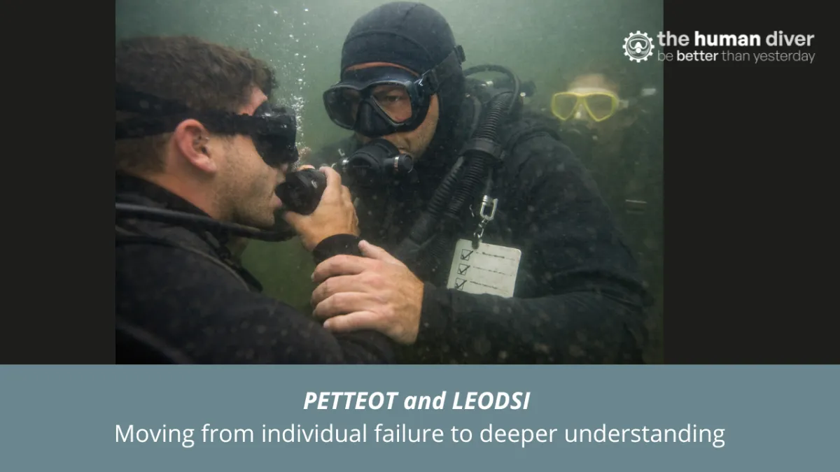 LEODSI and PETTEOT: A Systems Approach for Understanding How Diving Really Works