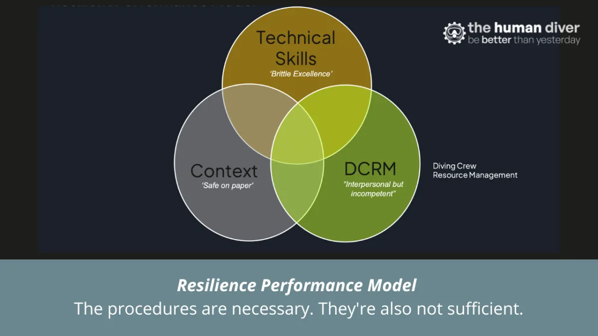 When Skill Alone Isn't Enough: The Resilient Performance Model
