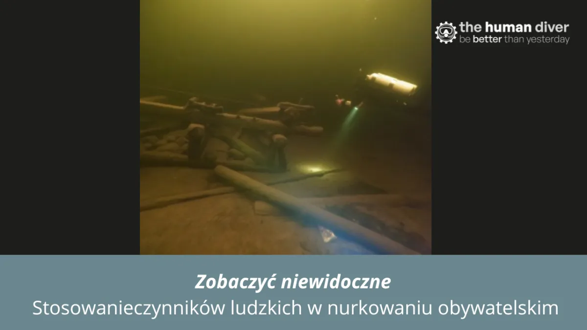 Zobaczyć niewidzialne’: zastosowanie czynników ludzki w projektach nauki obywatelskiej