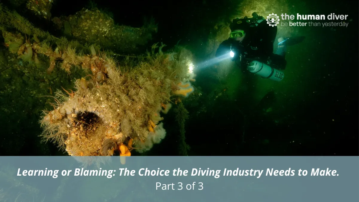 Learning or Blaming: The Choice the Diving Industry Needs to Make. Part 3 of 3.