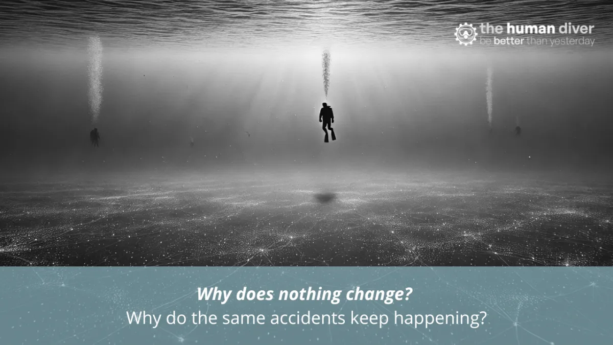 Why does nothing change? Why do the same failures keep happening?