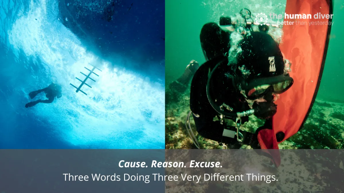 Cause Reason. Excuse. Three Words Doing Very Different Things.