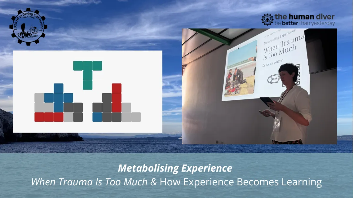 7. Metabolising Experience: How Experience Becomes Learning