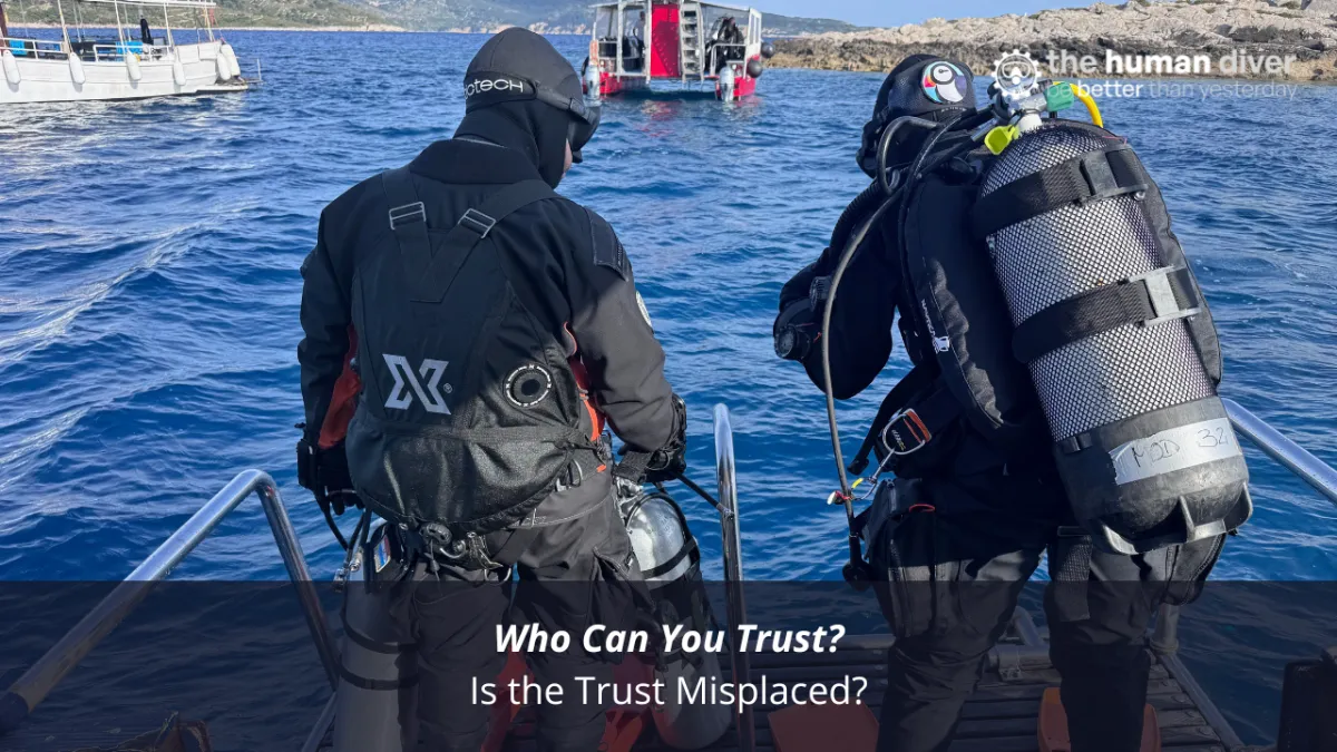 Who Can You Trust? Is the Trust Misplaced?
