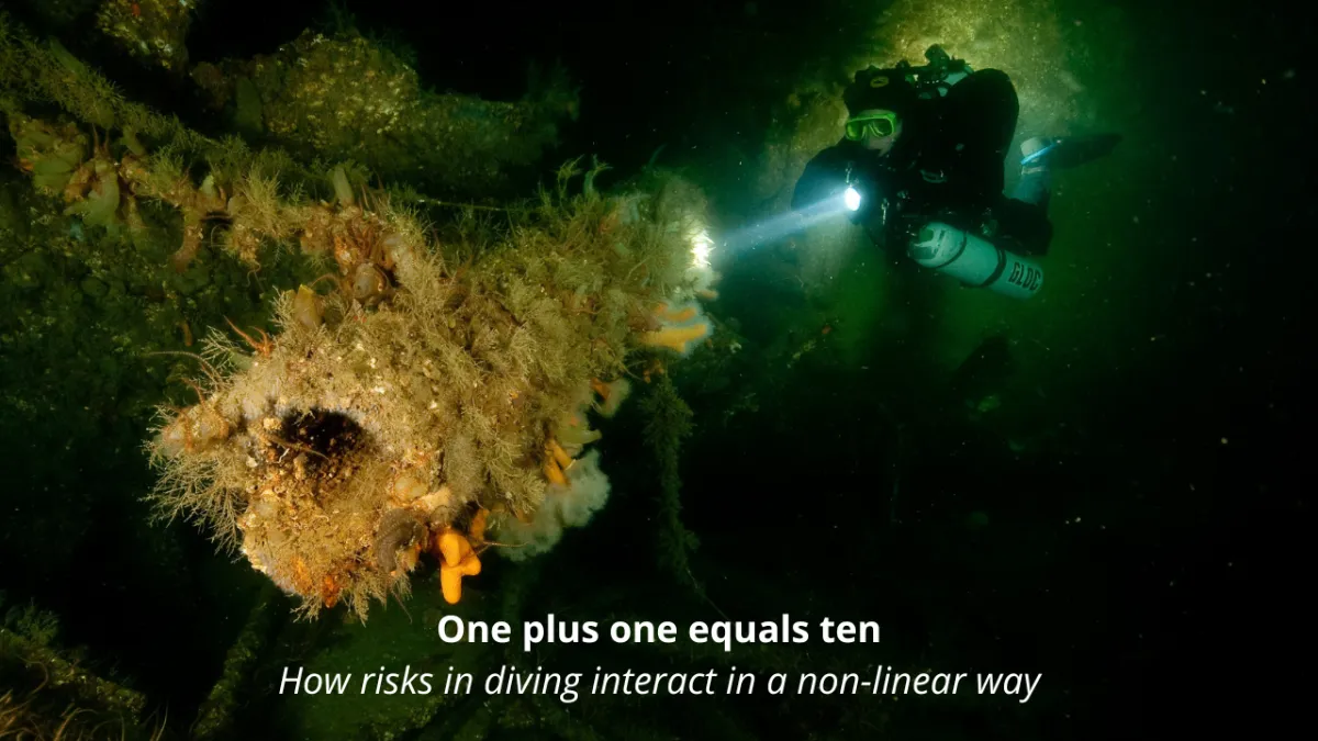 One plus one equals ten: How risks in diving interact in a non-linear way