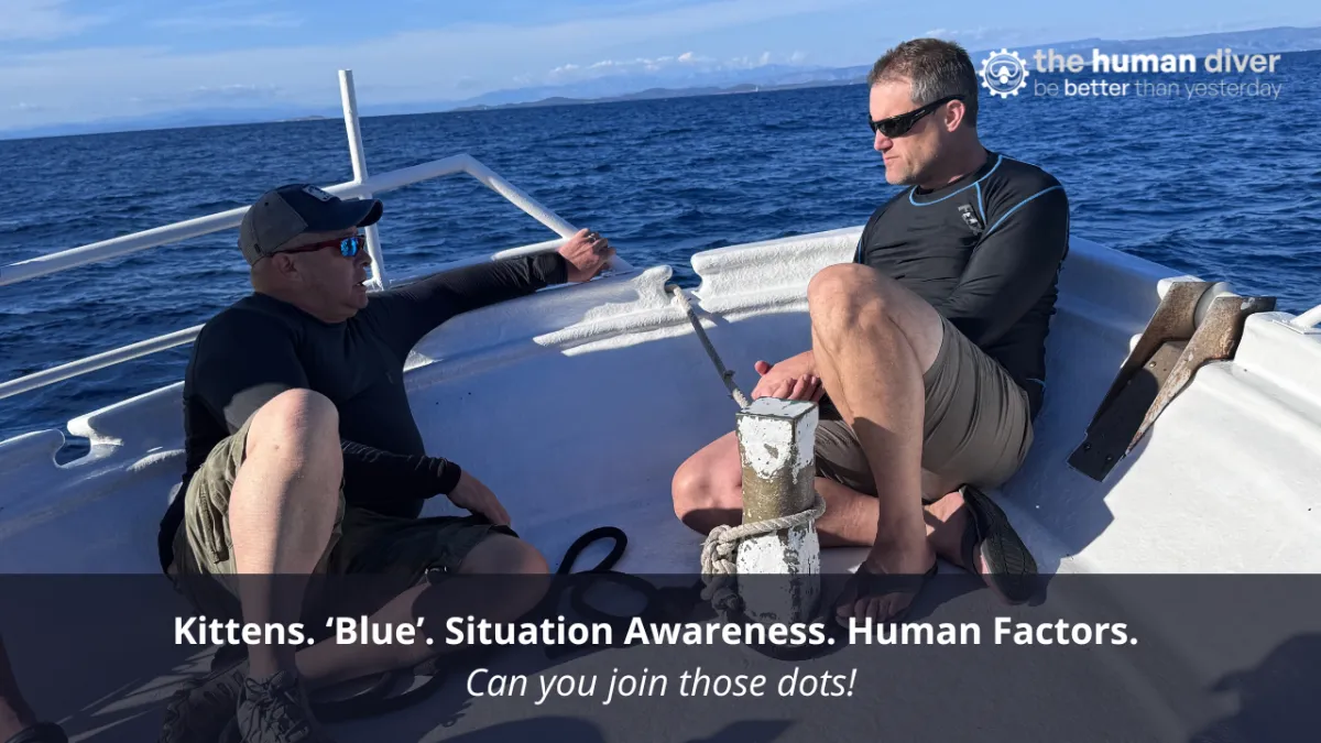 Kittens. ‘Blue’. Situation Awareness. Human Factors. Can you join those dots!