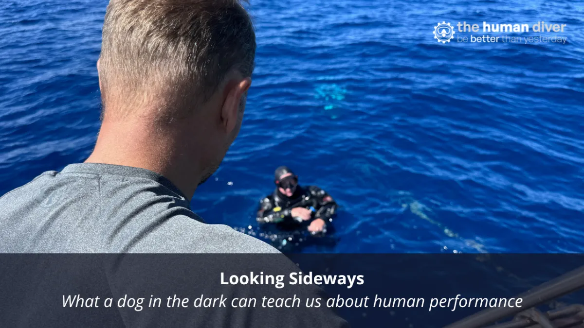 Looking Sideways  What a dog in the dark can teach us about human performance