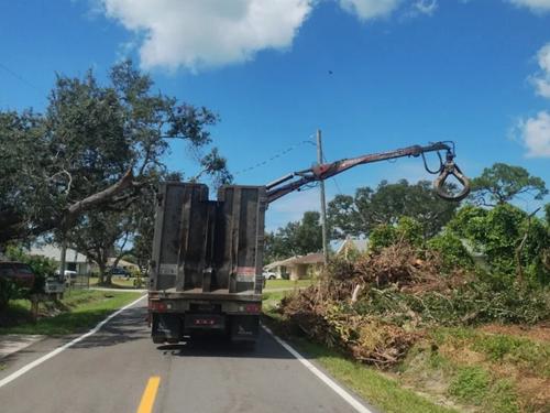 Emergency Tree Services Nashville