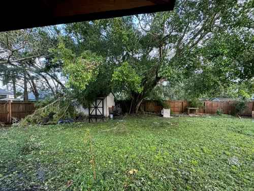 Tree Pruning 