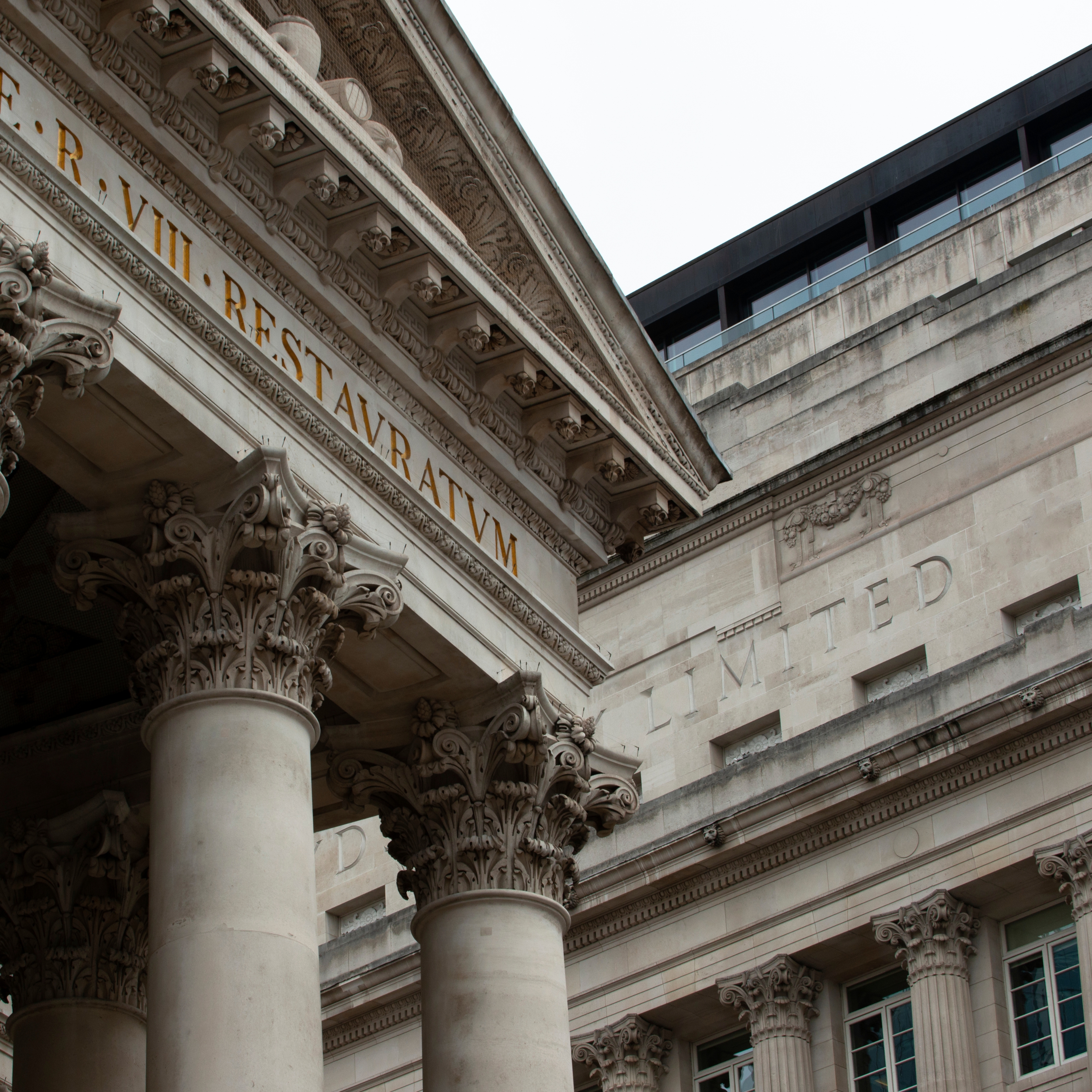 Robert Solomon Portrait