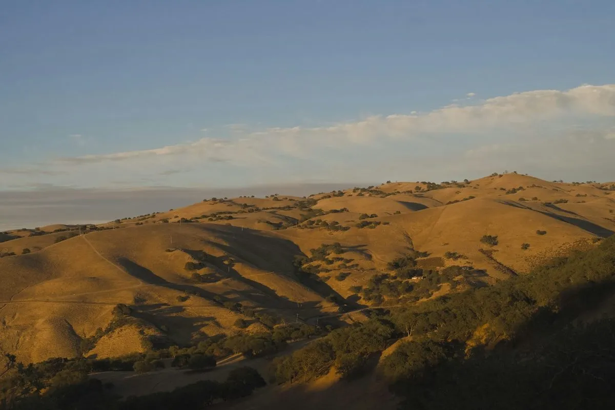 Golden hills at sunset in the East Bay