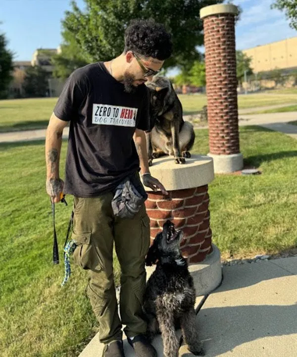 puppy-boarding