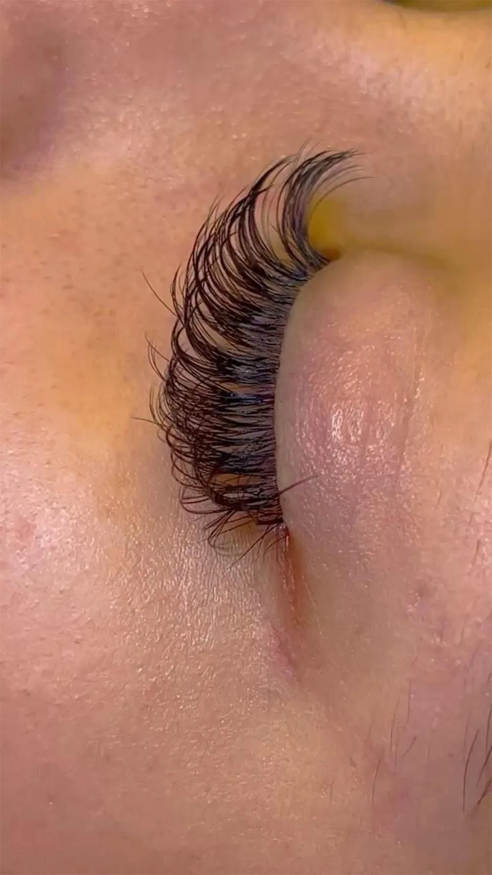 Lash Extensions Corpus Christi TX