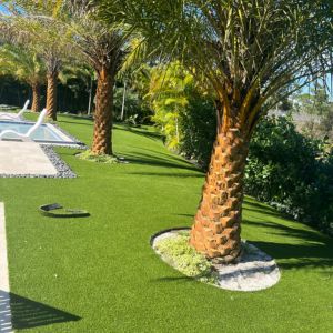 Pet Areas West Palm Beach