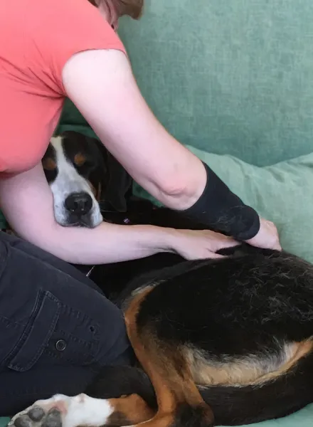 Lisa massaging dog Rosie