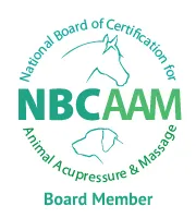 NBCAAM board member badge
