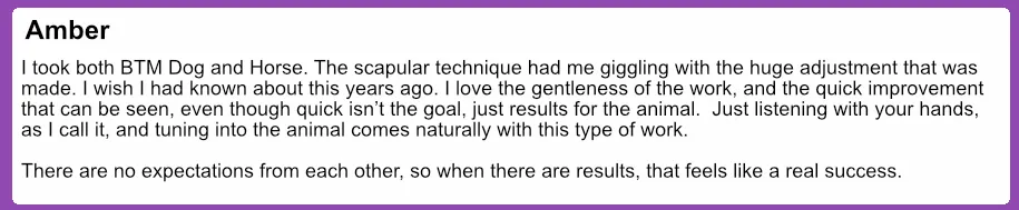 Testimonial from Amber about the quickness and gentleness of the work