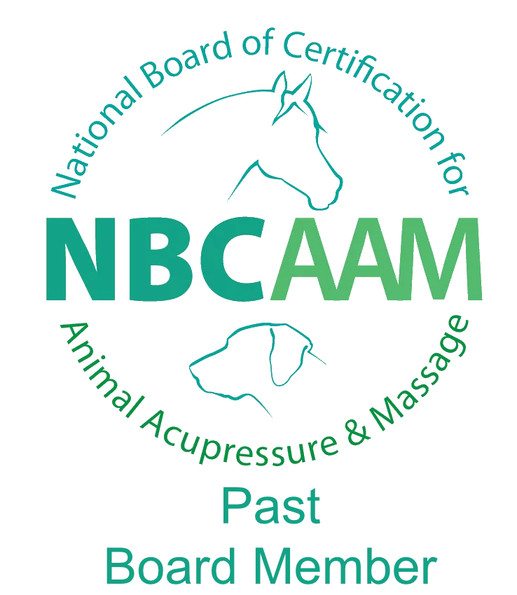 NBCAAM board member badge