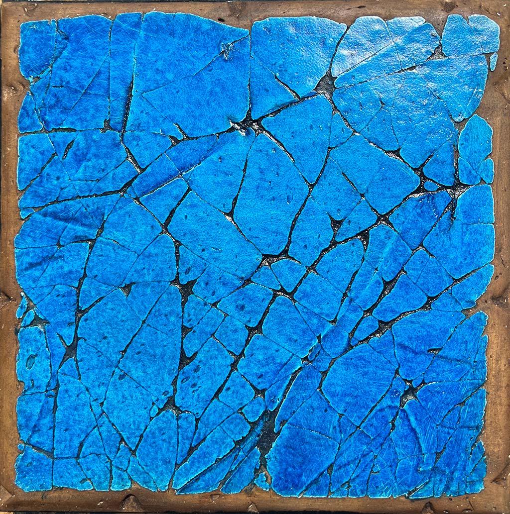 Bella Rotta's Movement