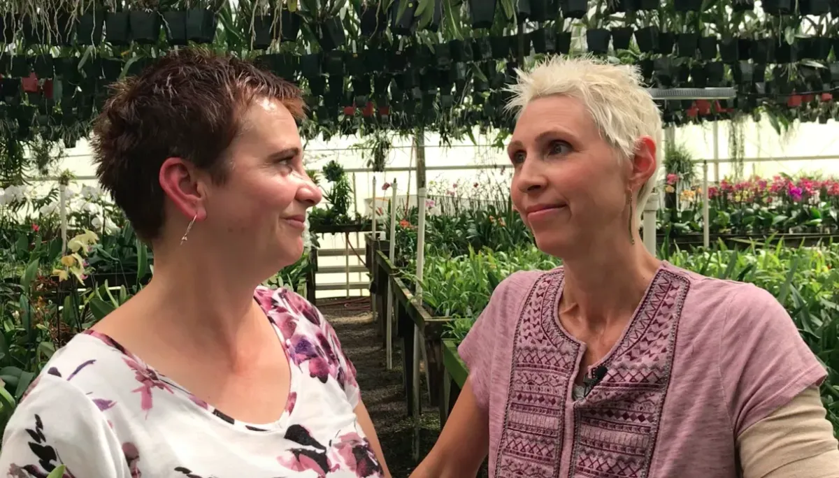 A vibrant, close-up photograph of a blooming orchid with delicate pink and white petals, set against a softly blurred background of an art studio. The image captures the intricate details of the flower and hints of paintbrushes nearby, evoking creativity and serenity.