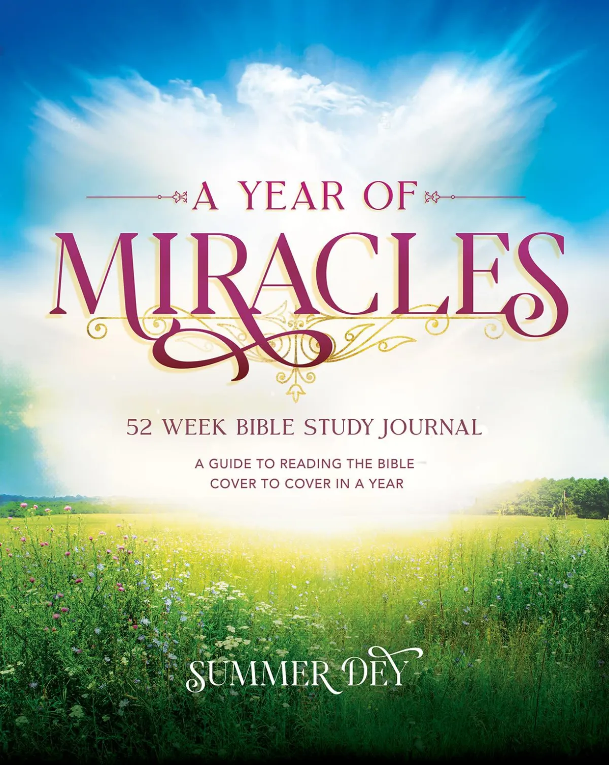 A Year of Miracles