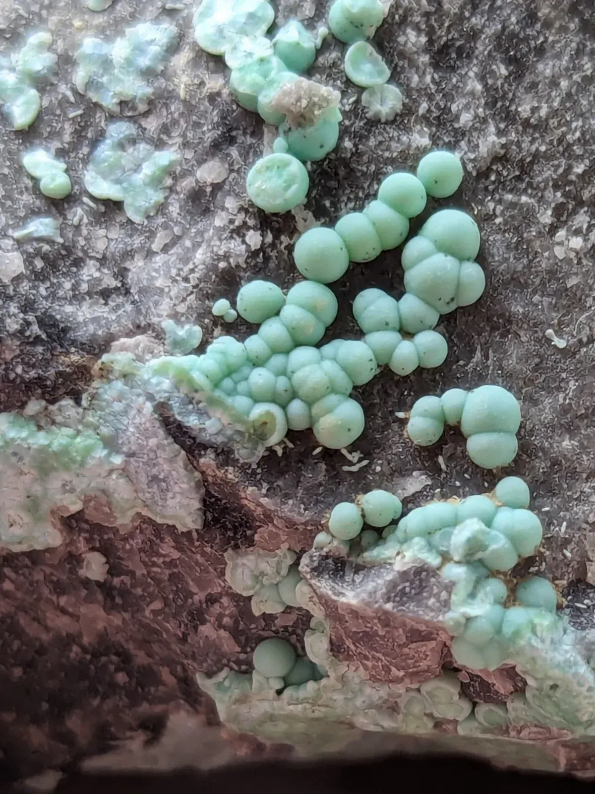 collectable. planerite arkansas