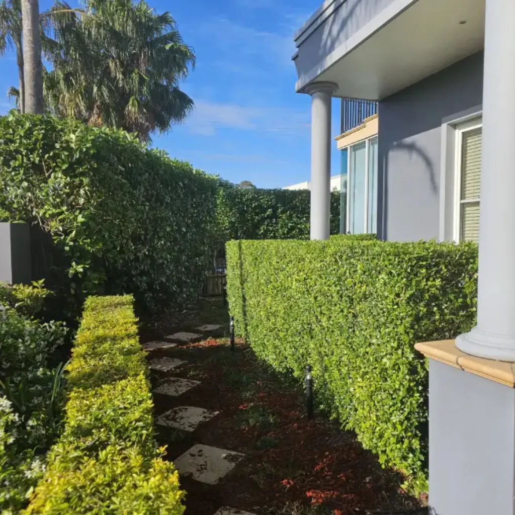Landscaping in , Philipsburg, Sint Maarten.