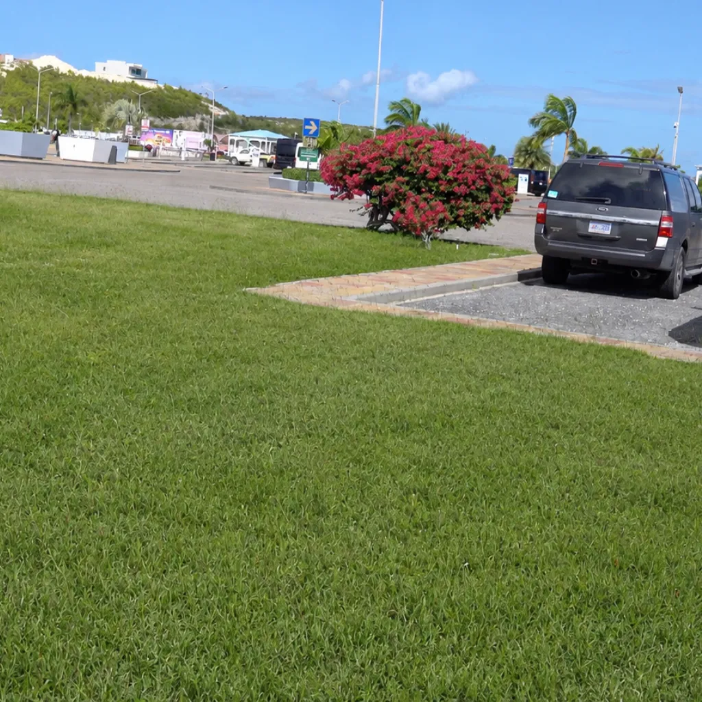 Landscaping in , Philipsburg, Sint Maarten.
