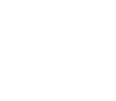 Eagle Painting Logo