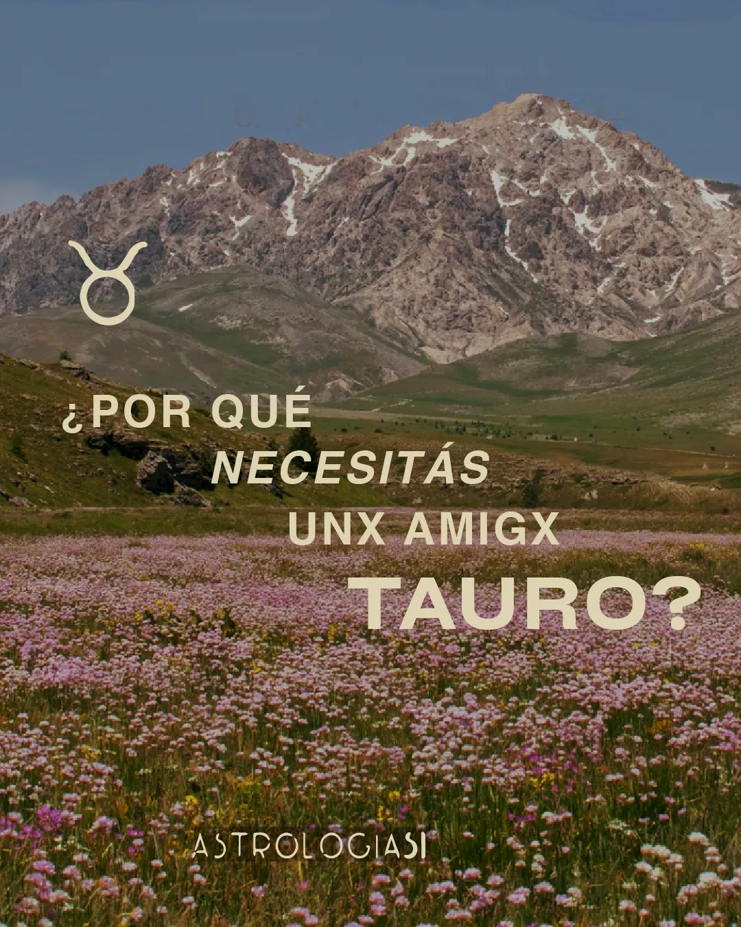 ¿Por qué necesitás un amigx Tauro?