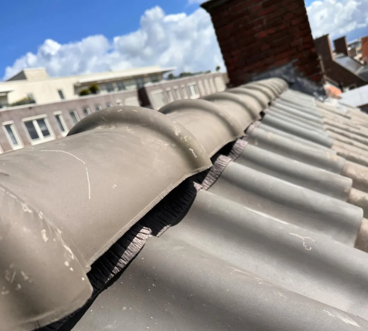 Nokvorsten renoveren